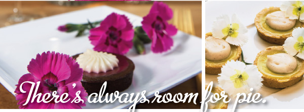 PlantHaven Hot Selection - It's Showtime!