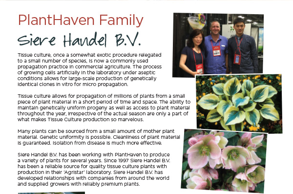 PlantHaven e-Brief Newsletter - August 2017