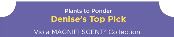 PlantHaven e-Brief Newsletter - August 2017