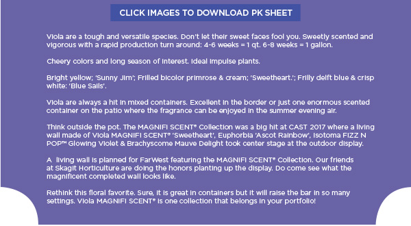 PlantHaven e-Brief Newsletter - August 2017