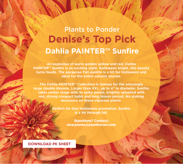 PlantHaven eBrief Newsletter, September 2017