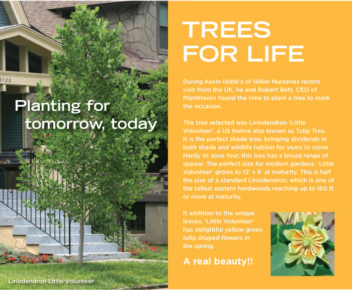 PlantHaven International e-Brief Newsletter - October 2017