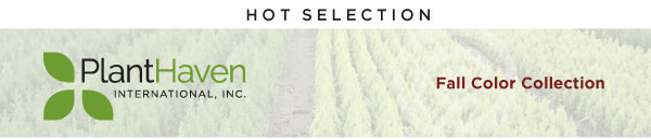 PlantHaven Hot Selection - Fall Color Collection