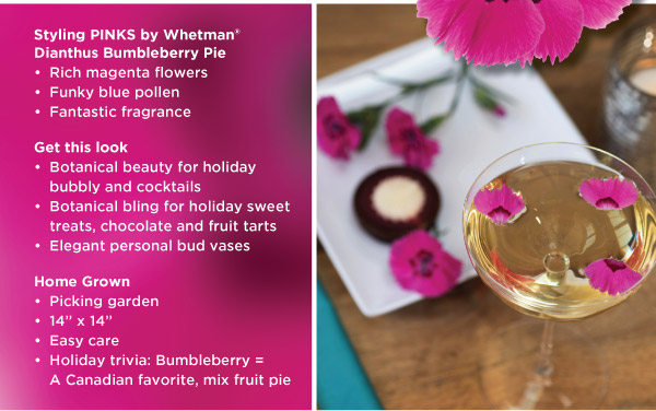 PlantHaven Hot Selection - Edible Holiday Flowers