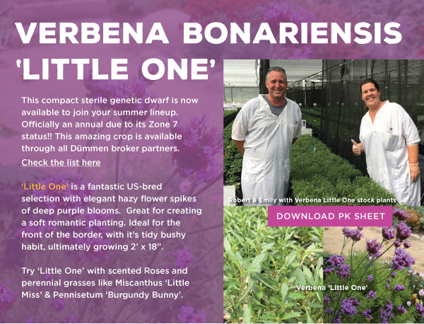 PlantHaven eBrief Newsletter - Happy Holidays Dec 2017