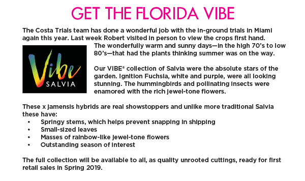 PlantHaven International e-Brief Newsletter, March 2018