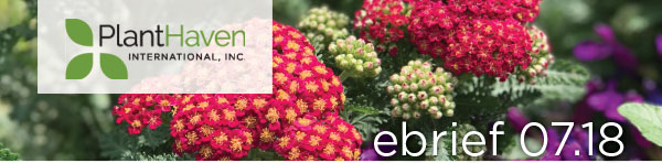 PlantHaven Ebrief Newsletter - July 2018