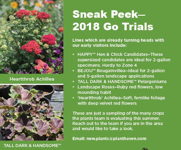 PlantHaven Ebrief Newsletter - July 2018