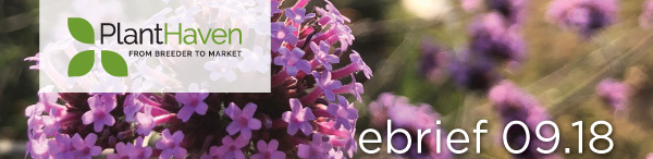 PlantHaven eBrief Newsletter - September 2018