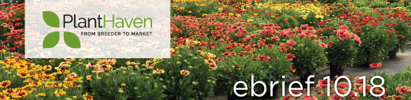 PlantHaven Halloween e-Brief Newsletter - October 2018