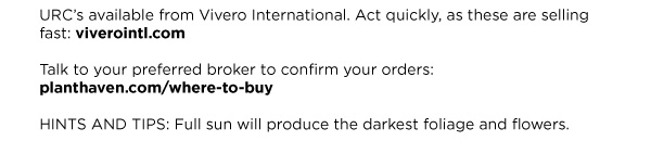 PlantHaven Halloween e-Brief Newsletter - October 2018