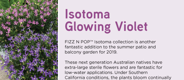 PlantHaven Halloween e-Brief Newsletter - October 2018