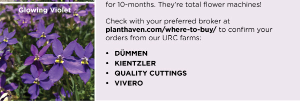 PlantHaven Halloween e-Brief Newsletter - October 2018