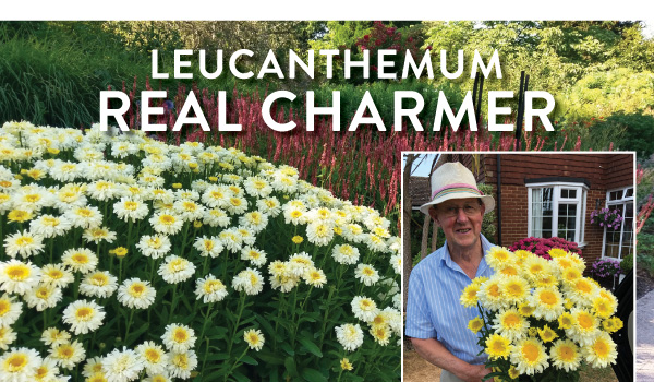 PlantHaven Halloween e-Brief Newsletter - October 2018