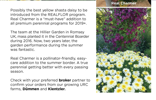 PlantHaven Halloween e-Brief Newsletter - October 2018