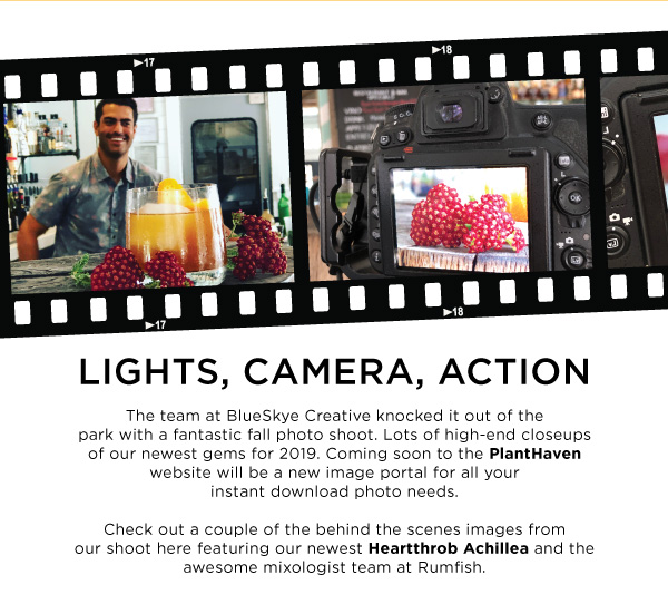 PlantHaven Halloween e-Brief Newsletter - October 2018