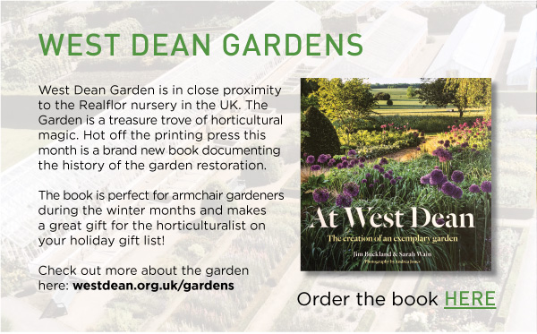 PlantHaven Halloween e-Brief Newsletter - October 2018