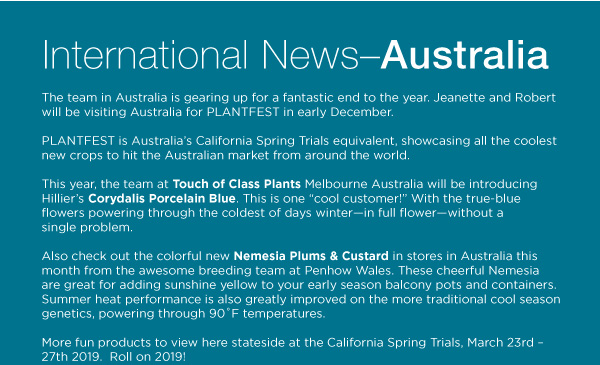 PlantHaven Halloween e-Brief Newsletter - October 2018