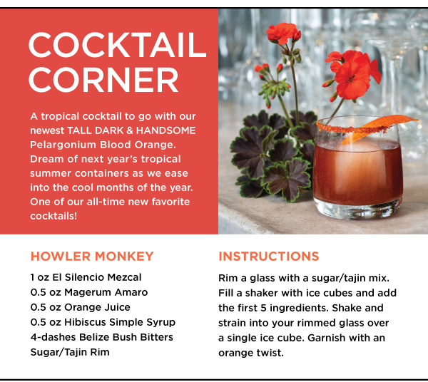 PlantHaven Halloween e-Brief Newsletter - October 2018