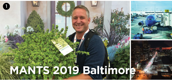 PlantHaven eBrief Newsletter - January 2019