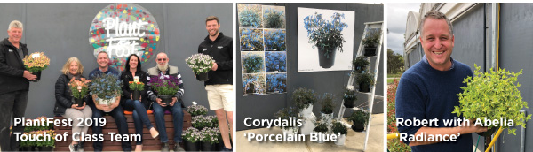 PlantHaven eBrief Newsletter - January 2019