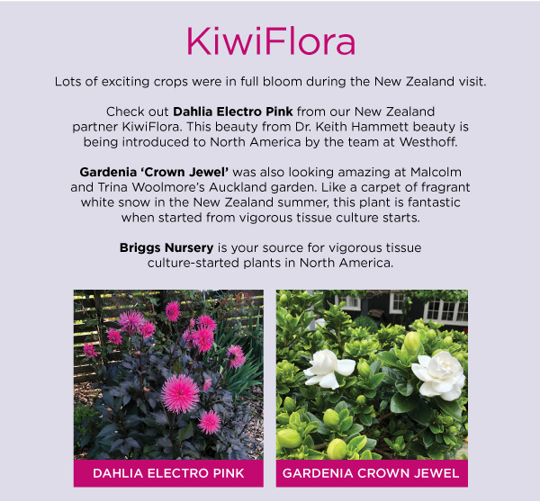 PlantHaven eBrief Newsletter - January 2019