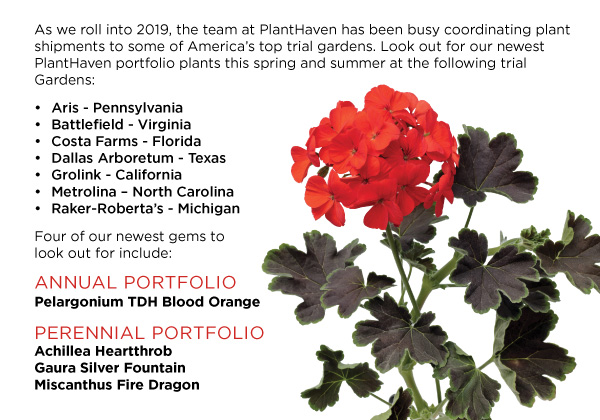 PlantHaven eBrief Newsletter - January 2019