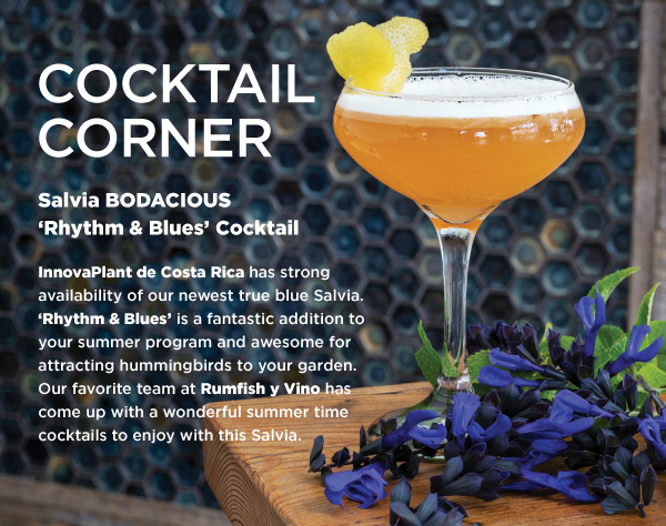 PlantHaven eBrief Newsletter - January 2019