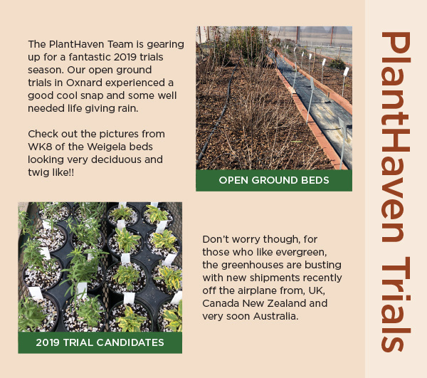 PlantHaven eBrief Newsletter - February, 2019