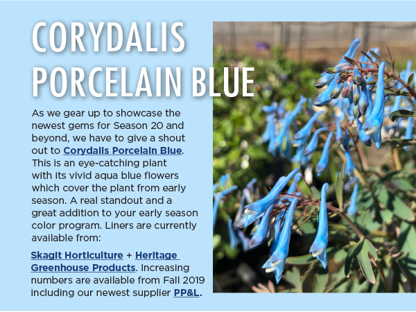 PlantHaven eBrief Newsletter - February, 2019