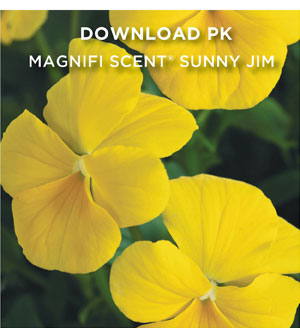 PlantHaven Hot Selection - Scented Beauties