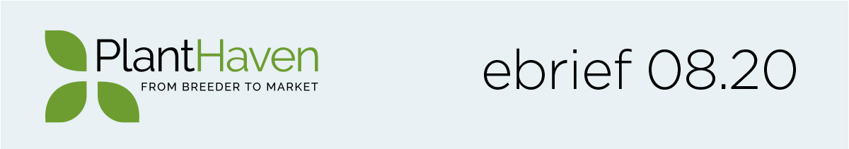 PlantHaven Monthly eBrief August 2020