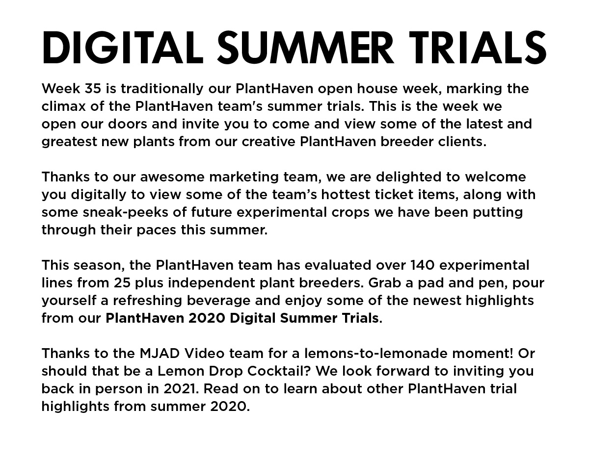 Digital Summer Trials