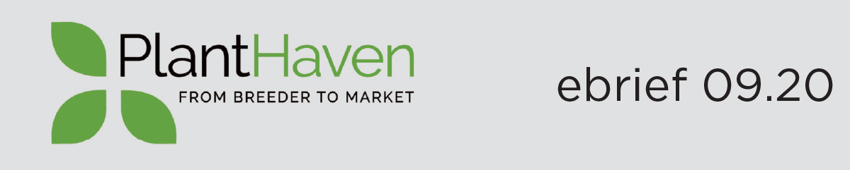 PlantHaven Monthly eBrief September 2020