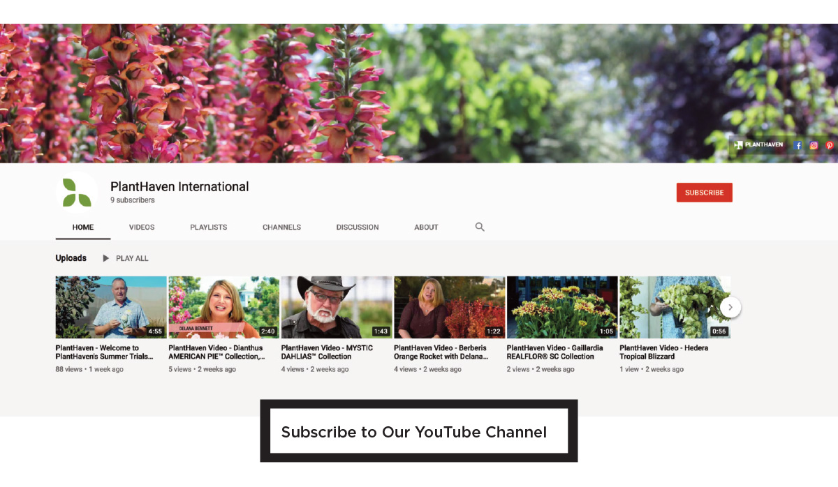 Subscribe to our YouTube Channel