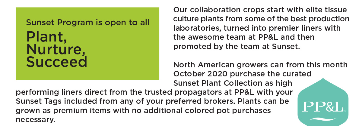 Pacific Plug & Liner