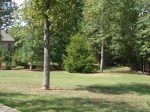 Gorgeous green privacy