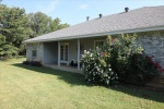 Flowering Shrubs and bushes