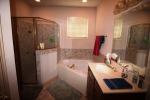 Master Bath Tub and Shower