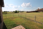 Dog Fence