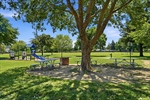 39-OBrien Park Napa - 05