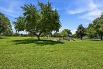 37-OBrien Park Napa - 03