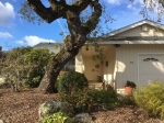 313 Valley Oaks Drive,  Santa Rosa, CA 95409
