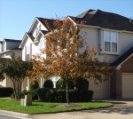 1007 Grand Oak Lane,  Virginia Beach, VA 23455