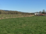 Hwy240 w Mt. Hood View