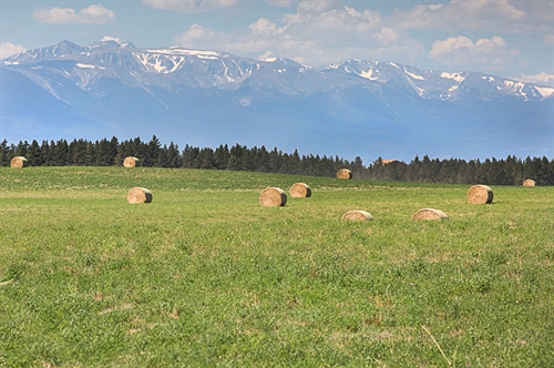 0 Shane Creek Road,  Columbus, MT 59019