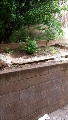 20190522_153439