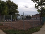 photo_5