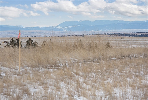 4365 Valley Canyon Ranch Road,  Molt, MT 59057