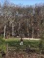 Golf Course